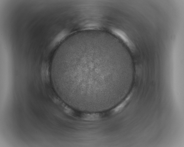 X0000111681403200907241223