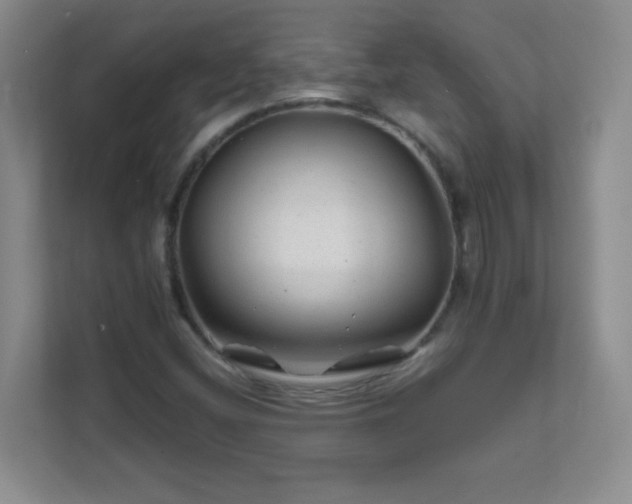 X0000111681404200907241223