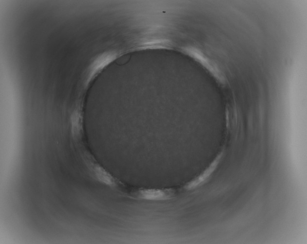 X0000111681405200907241223