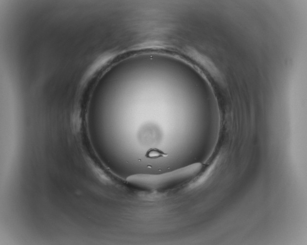 X0000111681406200907241223