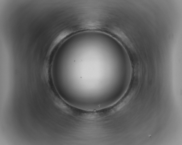 X0000111681410200907241223