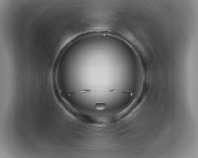 X0000111681412200907241223