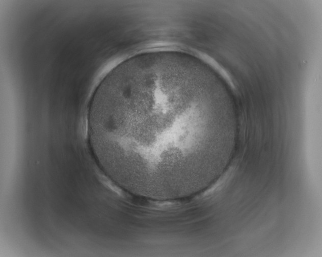 X0000111681413200907241223