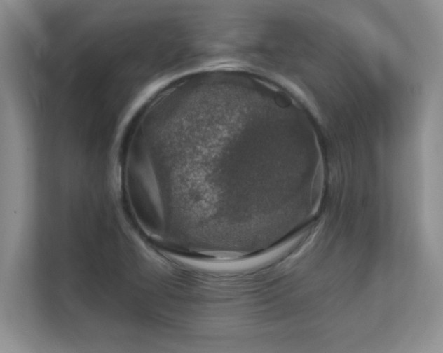 X0000111681414200907241223