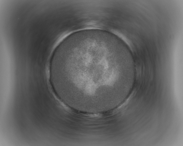 X0000111681415200907241223