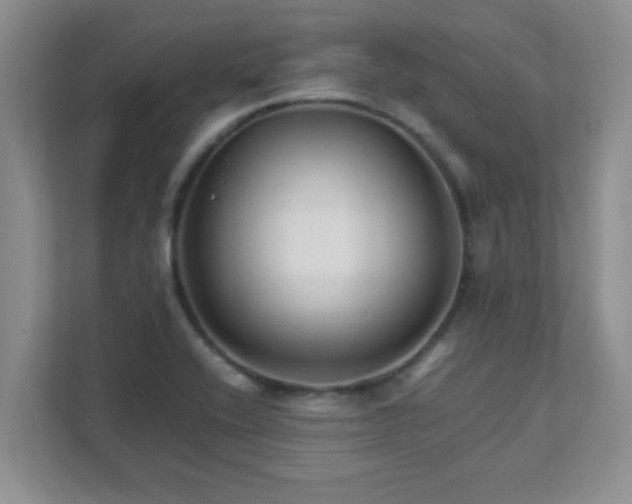 X0000111681416200907241223