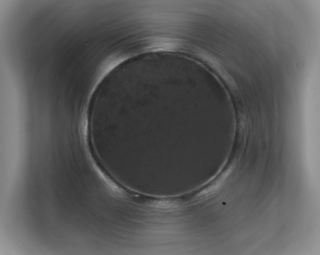 X0000111681418200907241223