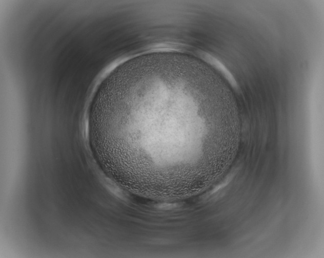 X0000111681419200907241223