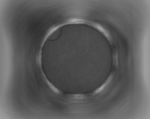 X0000111681421200907241223