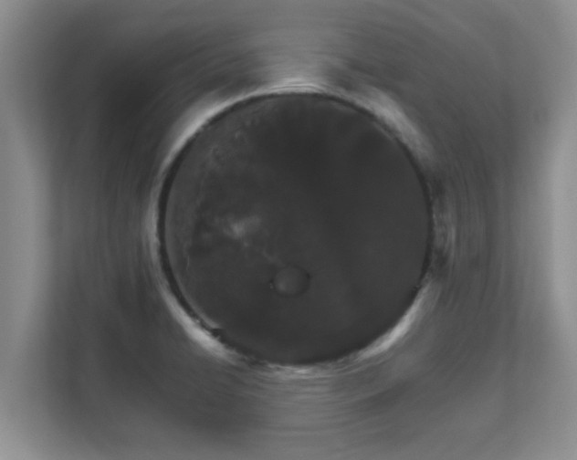 X0000111681422200907241224