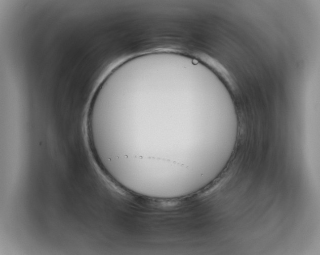 X0000111681423200907241224