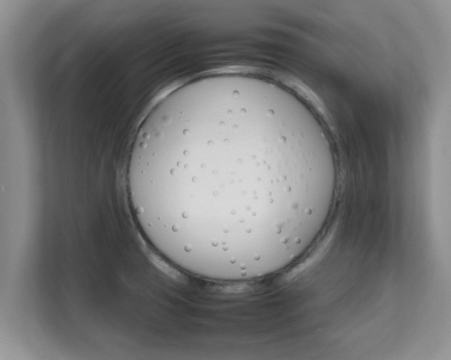 X0000111681425200907241224