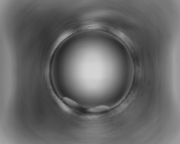 X0000111681426200907241224