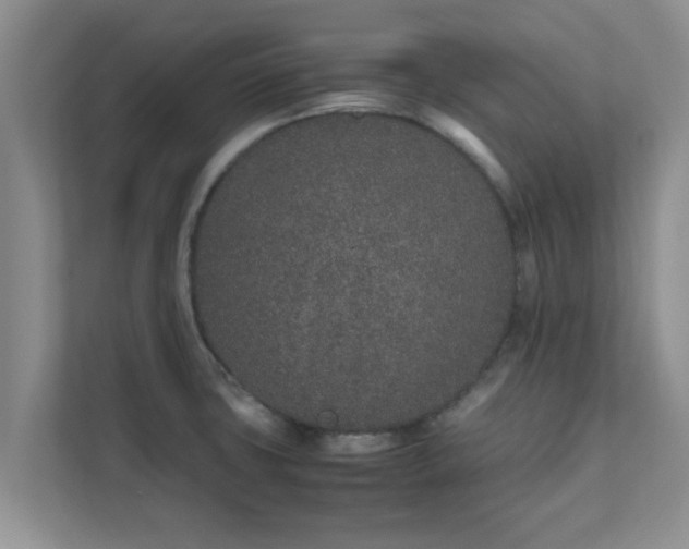 X0000111681427200907241224