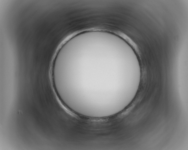 X0000111681429200907241224