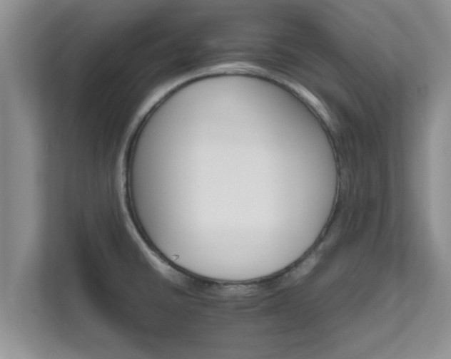 X0000111681430200907241224