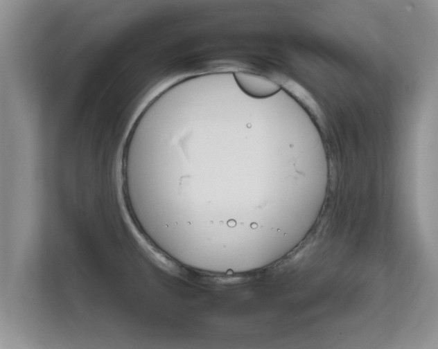 X0000111681431200907241224