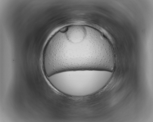 X0000111681432200907241224