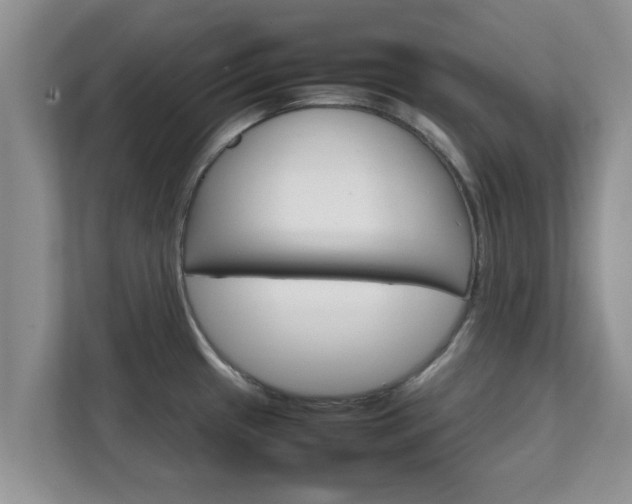 X0000111681433200907241224