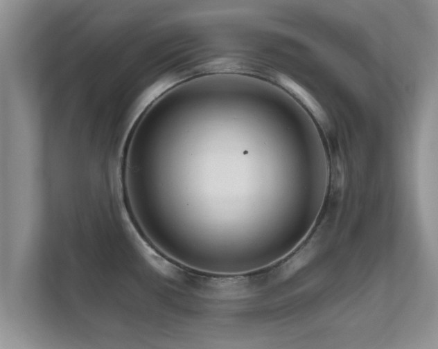 X0000111681434200907241224