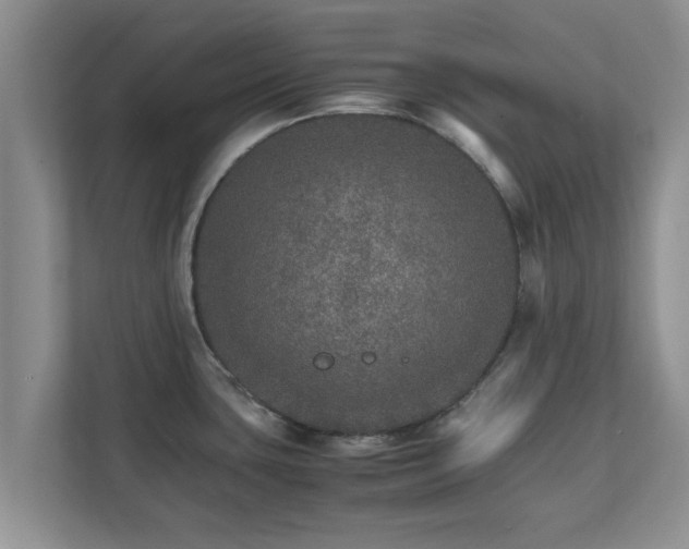 X0000111681435200907241224