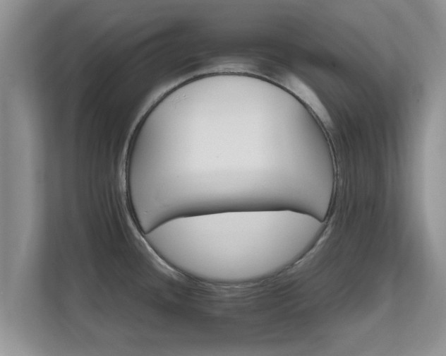 X0000111681436200907241224