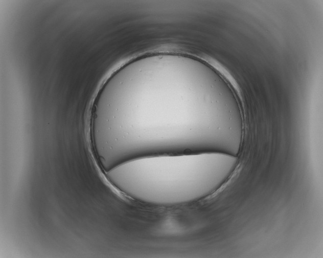 X0000111681437200907241224