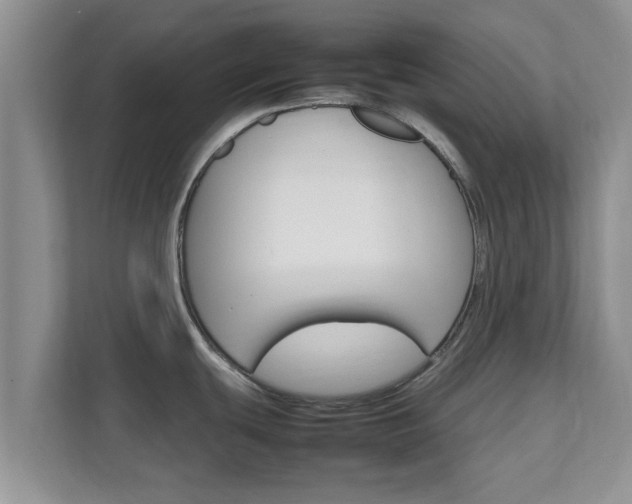 X0000111681439200907241224