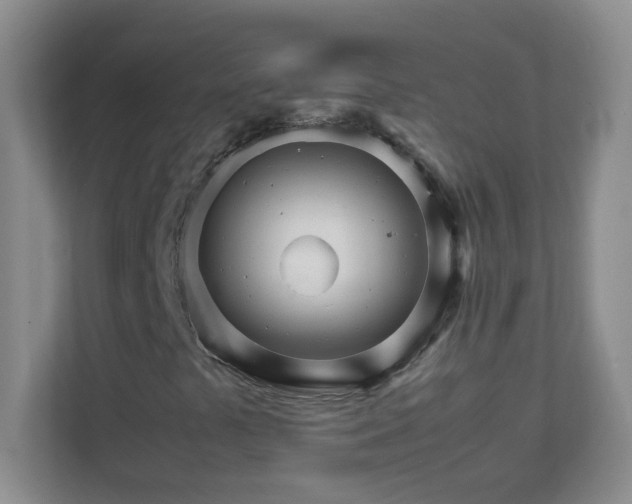 X0000111681441200907241223