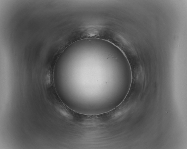 X0000111681442200907241223