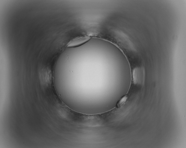 X0000111681443200907241223