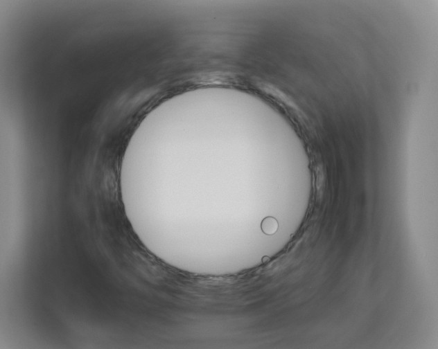 X0000111681446200907241223