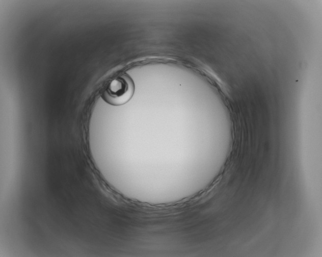 X0000111681448200907241223