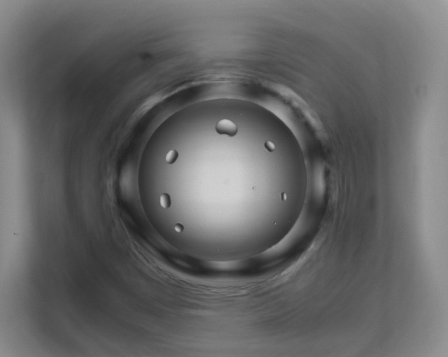 X0000111681449200907241223