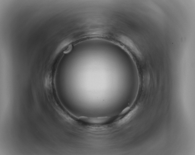 X0000111681450200907241223