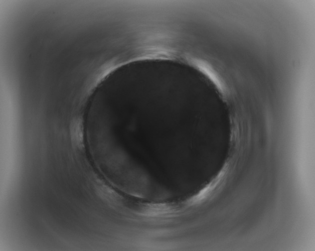 X0000111681455200907241223