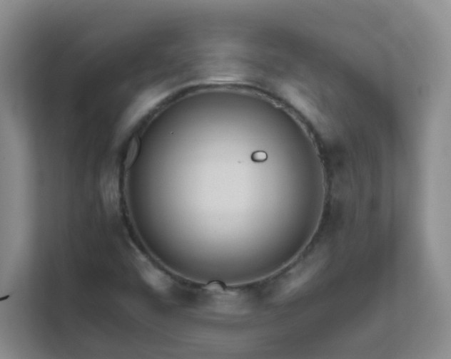 X0000111681456200907241223