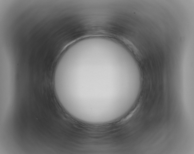 X0000111681457200907241223