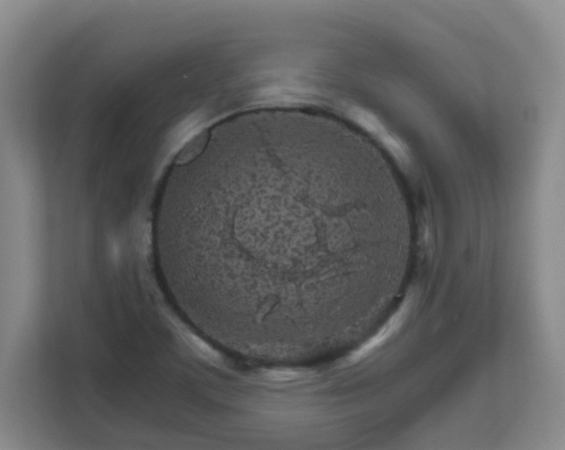 X0000111681459200907241223