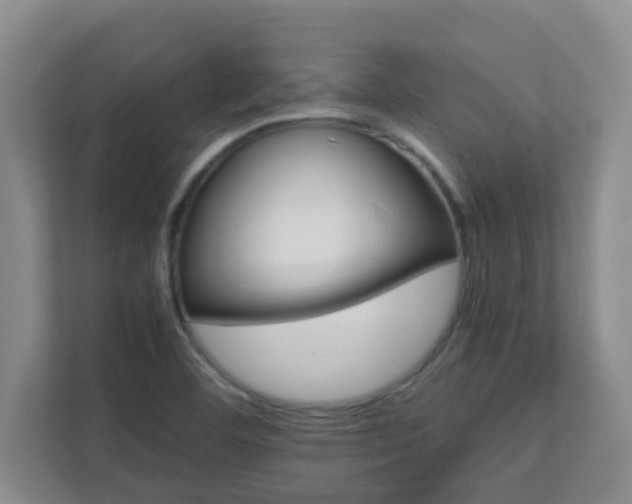 X0000111681460200907241223