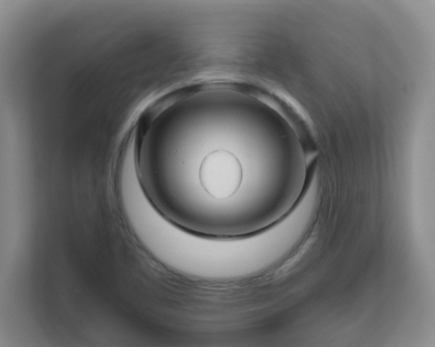 X0000111681461200907241223