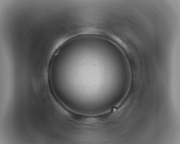 X0000111681463200907241223