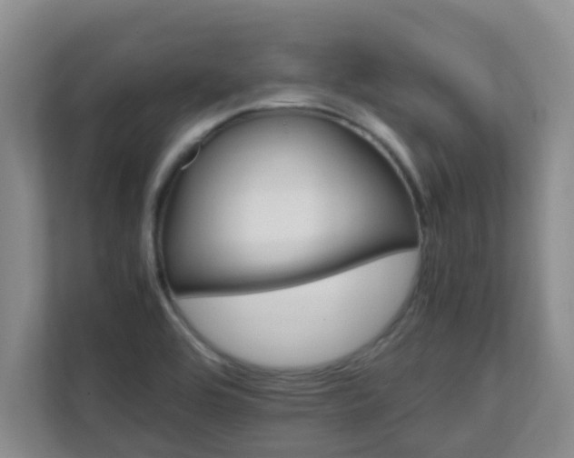 X0000111681464200907241223