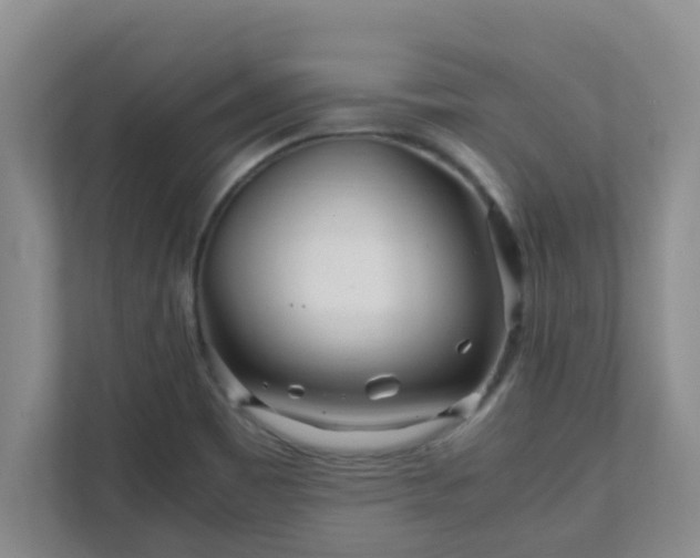 X0000111681465200907241223