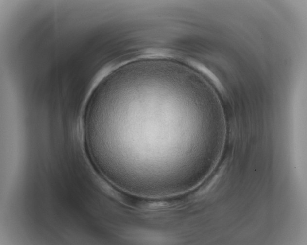 X0000111681467200907241223