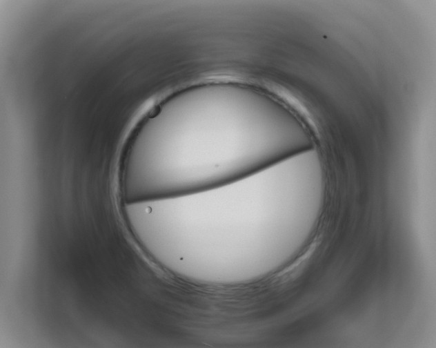 X0000111681469200907241223