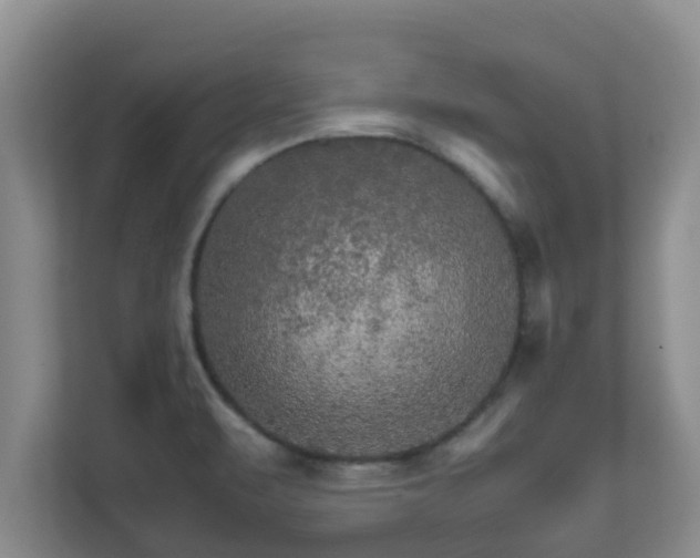 X0000111681471200907241223