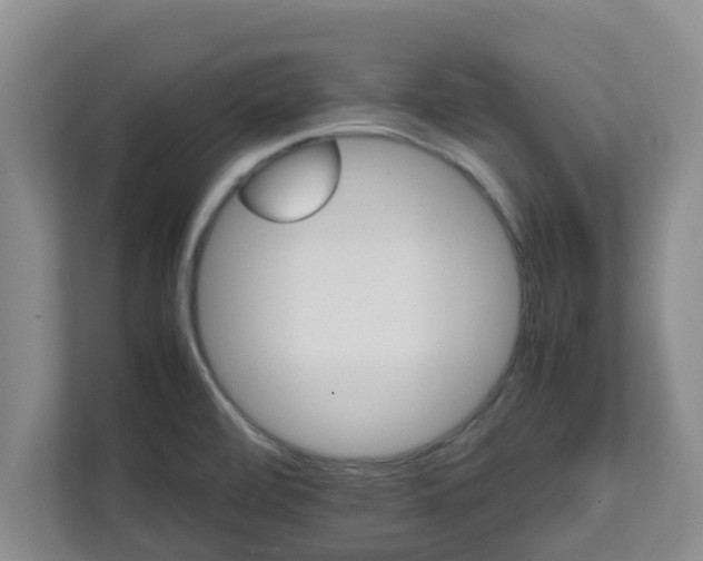 X0000111681472200907241223