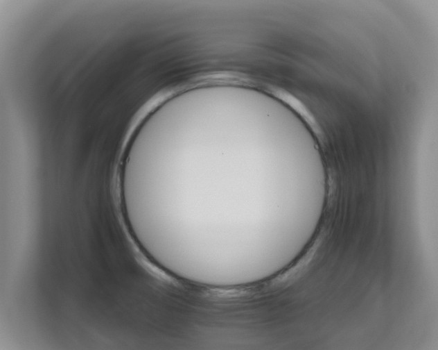 X0000111681474200907241223