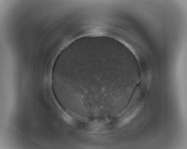 X0000111681477200907241223